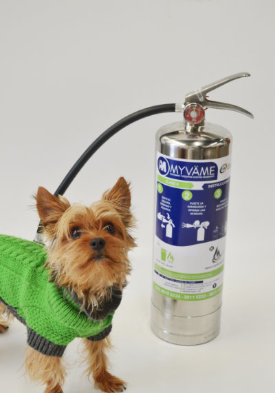 extintor-perro-myvame